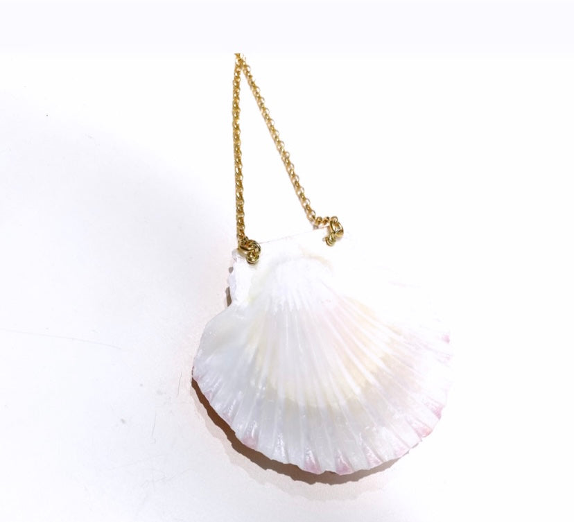 Collarino conchiglia naturale collanina rolò argento sterling placcato oro giallo fatto a mano
