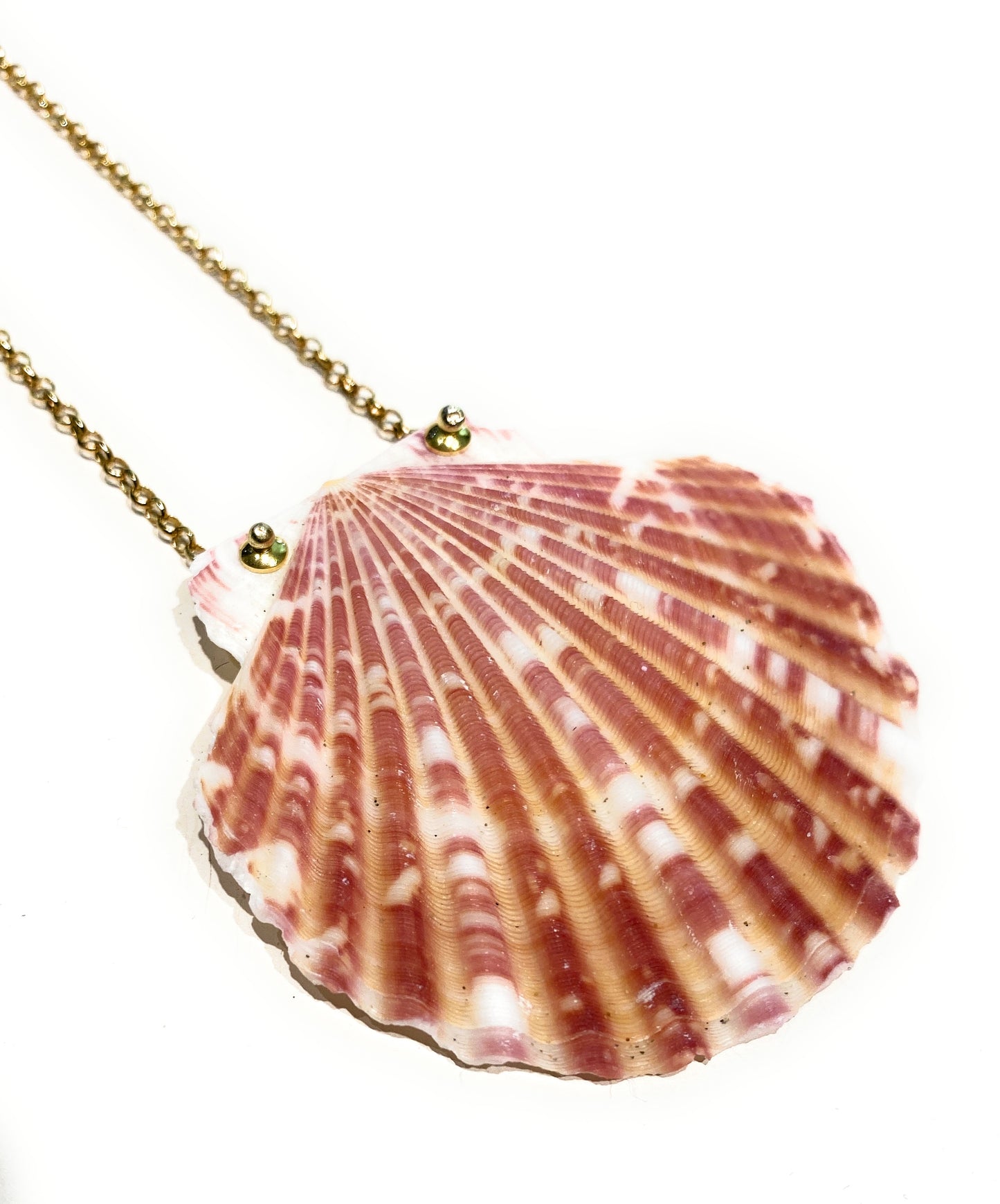 Collarino conchiglia naturale collanina rolò argento sterling placcato oro giallo fatto a mano