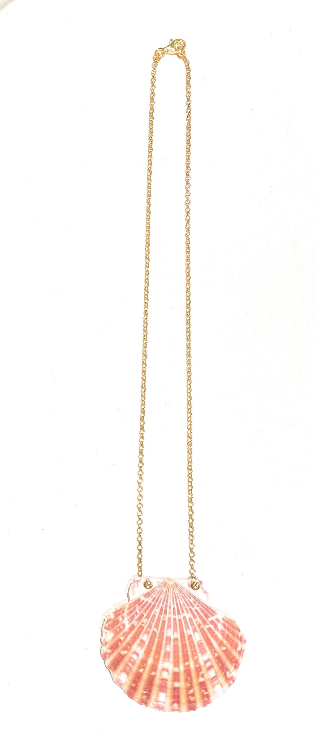Collarino conchiglia naturale collanina rolò argento sterling placcato oro giallo fatto a mano