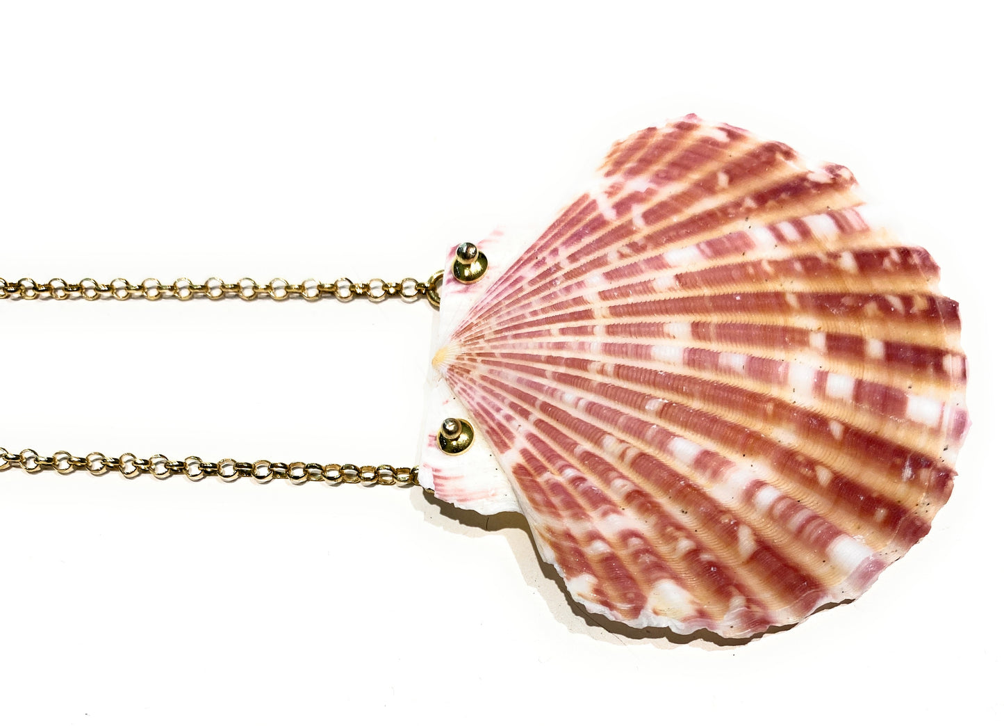 Collarino conchiglia naturale collanina rolò argento sterling placcato oro giallo fatto a mano